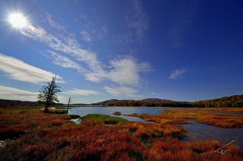 Le Gite Du Hu-Art Québec Exterior foto